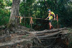 BIB: 
                            <button type="button" onclick="openModal(27754534)" class="btn btn-primary btn-sm float-right btn-popup" data-toggle="modal" data-target=".modal-high-quality">
                        <i class="fas fa-shopping-cart"></i> Add to Cart
                    </button>
                                            <button type="button" onclick="isThisMe(27754534, true)" class="btn btn-success btn-sm float-right btn-popup btn-isme hidden" data-toggle="tooltip" data-placement="bottom" title="นี่คือรูปของคุณใช่ไหม คลิกที่นี่เพื่อเอาเข้าอัลบั้ม">
                        <i class="fas fa-plus"></i> Add to album
                    </button>
                    <button type="button" onclick="isThisMe(27754534, false)" class="btn btn-warning btn-sm float-right btn-popup btn-isnotme hidden">
                        <i class="fas fa-ban"></i> Remove from album
                    </button>